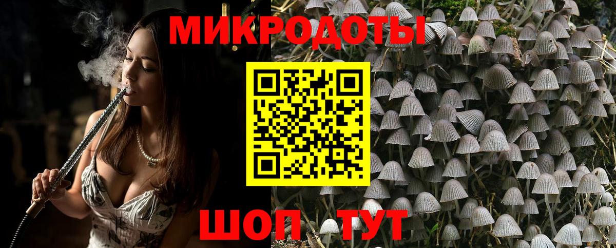Галлюциногенные грибы Cubensis Медногорск