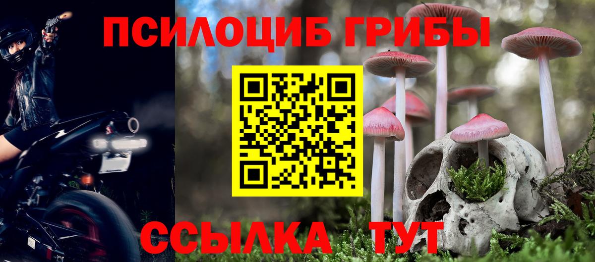Псилоцибиновые грибы мицелий  Вход с VPN  Медногорск  Галлюциногенные грибы ЛСД 